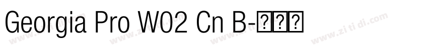 Georgia Pro W02 Cn B字体转换